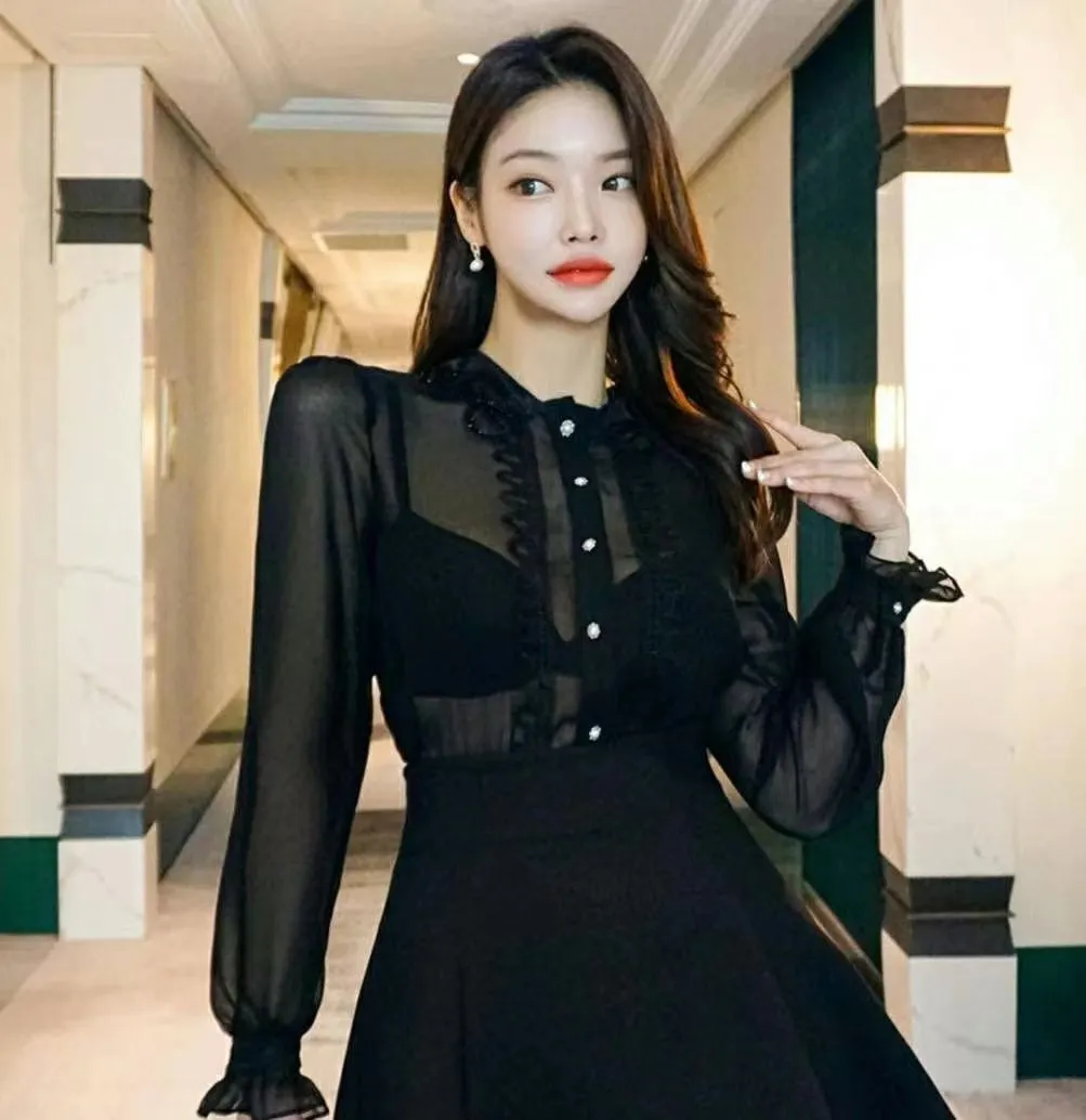 Sheer Lace Chiffon Detailed Collar Top