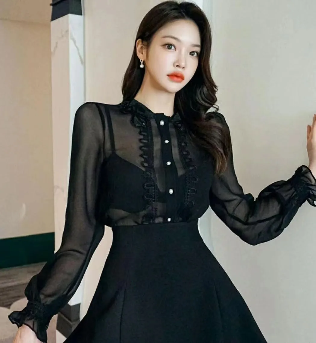 Sheer Lace Chiffon Detailed Collar Top